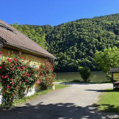 Außenansicht des Bauernhofs mit gelbem Gebäude, roten Kletterrosen und Zufahrt, umgeben von grünen Hügeln.