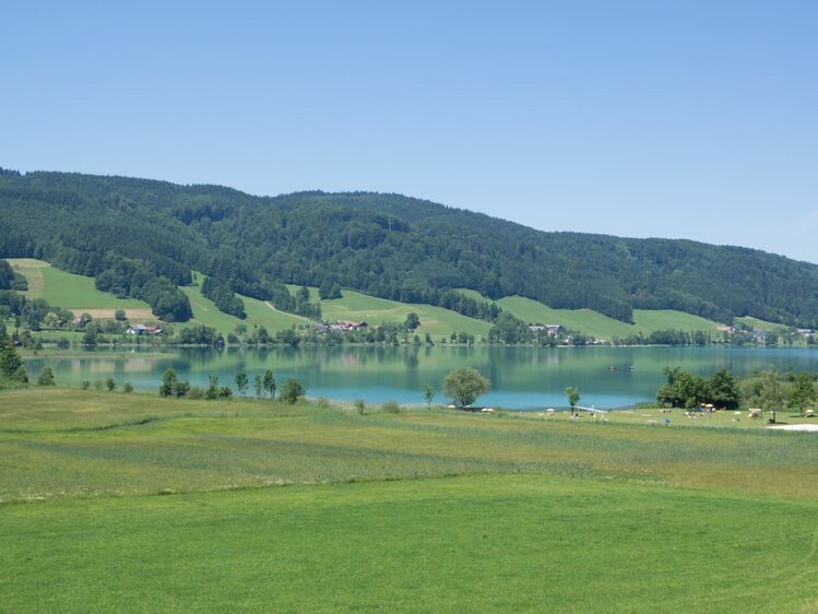 Blick auf den Irrsee