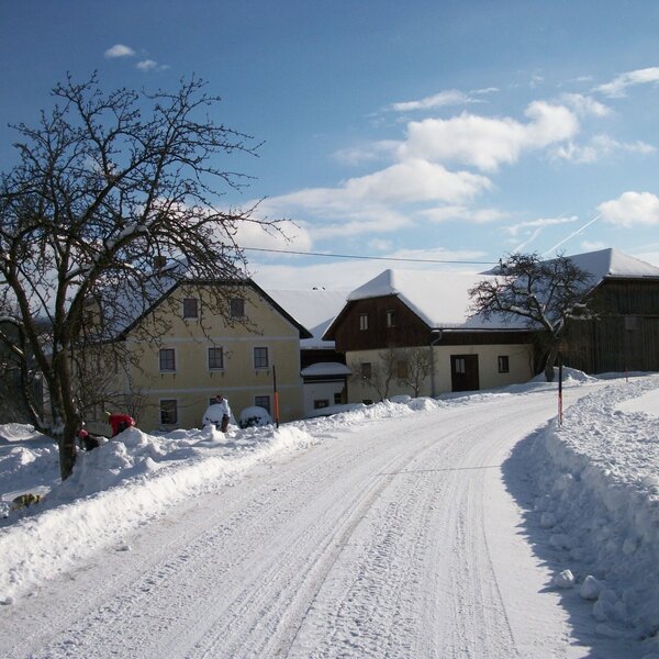 Im Winter