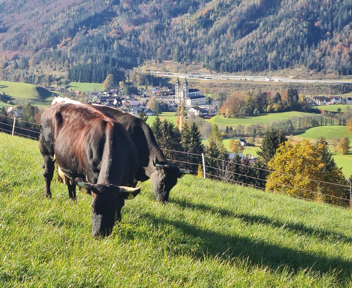 Blick ins Tal