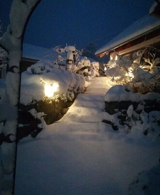 Garten im Winter