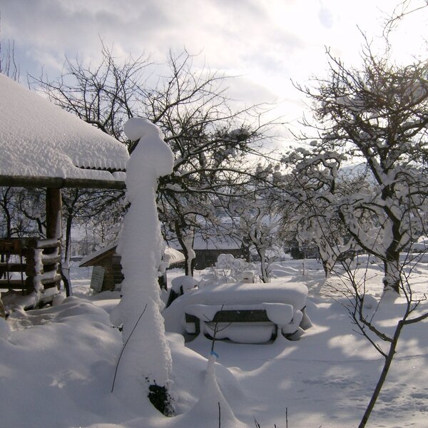 Winter im Garten
