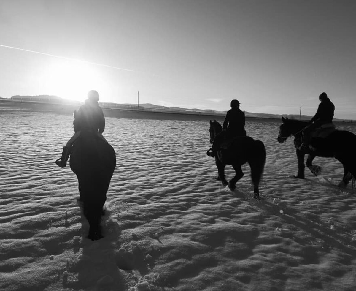 Drei Reiter auf Pferden in einer verschneiten Winterlandschaft, ideal für Ausritte vom Bauernhof aus.