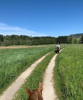 Reiten auf einem Feldweg durch die Natur, eine Aktivität, die auf dem Bauernhof angeboten wird.