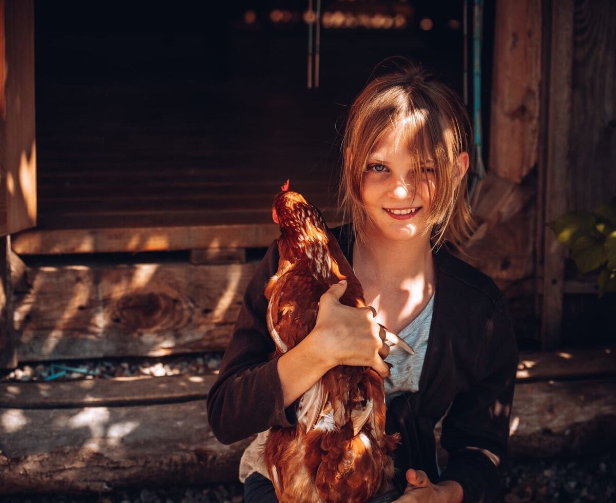 Ein Gastkind hält ein Huhn auf dem Bauernhof.