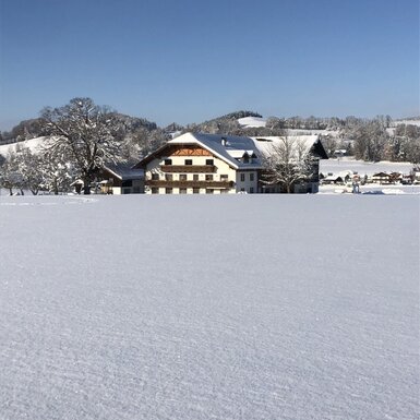 Der Bauernhof im Winter, mit schneebedeckten Dächern und Feldern unter blauem Himmel.