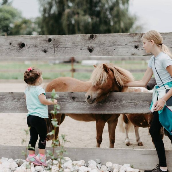Gäste streicheln ein Pony im Streichelzoo des Bauernhofs.
