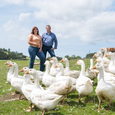 Eine Gruppe Gänse auf der Wiese des Bauernhofs, mit den Gastgebern im Hintergrund.