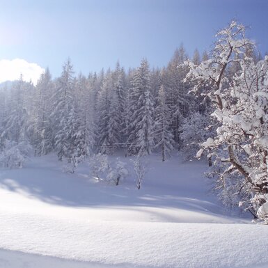 Blick auf die verschneite Winterlandschaft mit Wald vom Bauernhof aus.