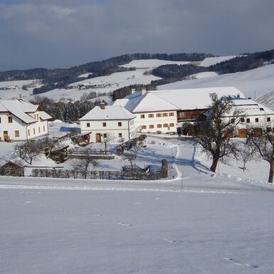Der Schafflhof vom Schnee eingedeckt