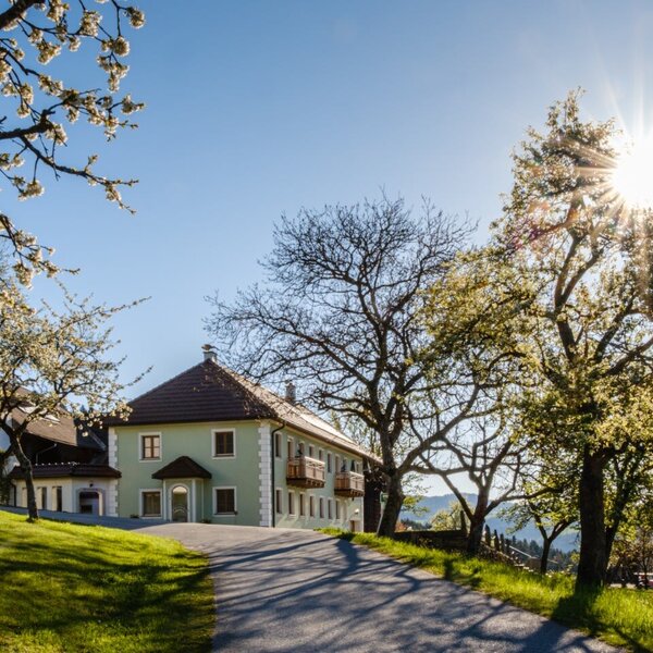 Der Bauernhof mit hellgrünem Gebäude, Balkonen und einer Zufahrt, umgeben von blühenden Bäumen und grünen Hügeln unter strahlendem Sonnenschein.