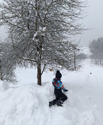 Ein Kind spielt im Schnee neben einem schneebedeckten Baum auf dem Bauernhof.
