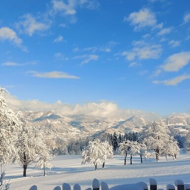 Schneebedeckte Bäume und das Bergpanorama vom Hof.