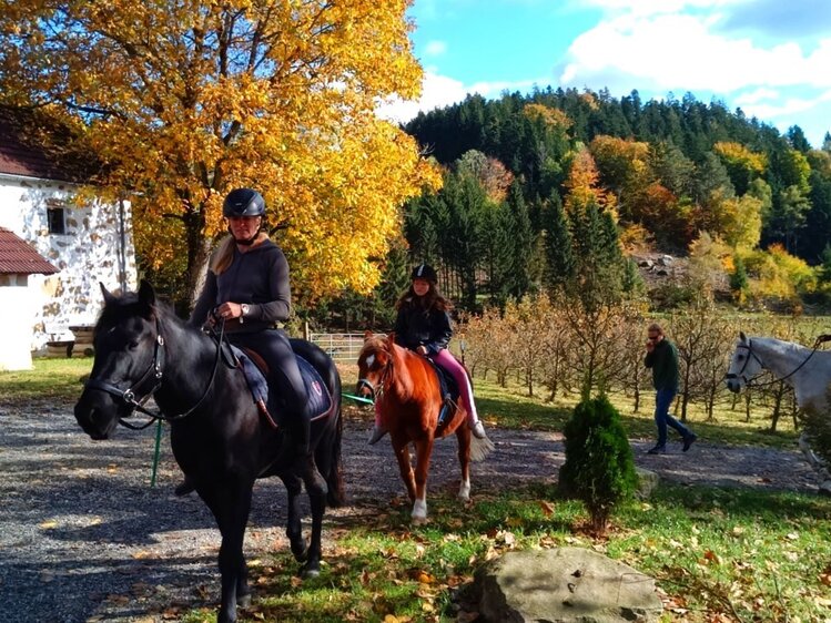 Reitausflug mit Pferden am Bauernhof, umgeben von herbstlichen Bäumen und dem traditionellen Steingebäude. | © Urlaub am Bauernhof Oberösterreich/Schenker