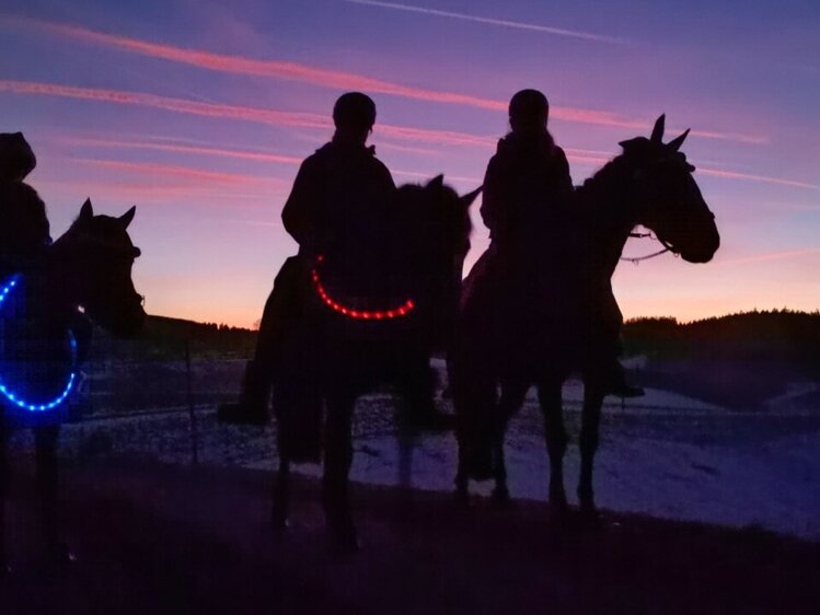 Sonnenuntergangsritt im Mühlviertel - Erlebnishof Steinkellnergut  | © Urlaub am Bauernhof Oberösterreich/Schenker