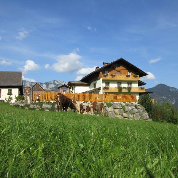 Sommerurlaub am Bauernhof