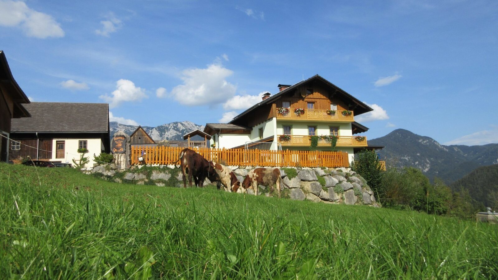 Sommerurlaub am Bauernhof