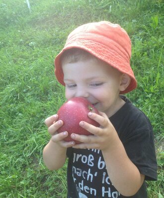 Ein Kind mit einem frischen roten Apfel vom Bauernhof.