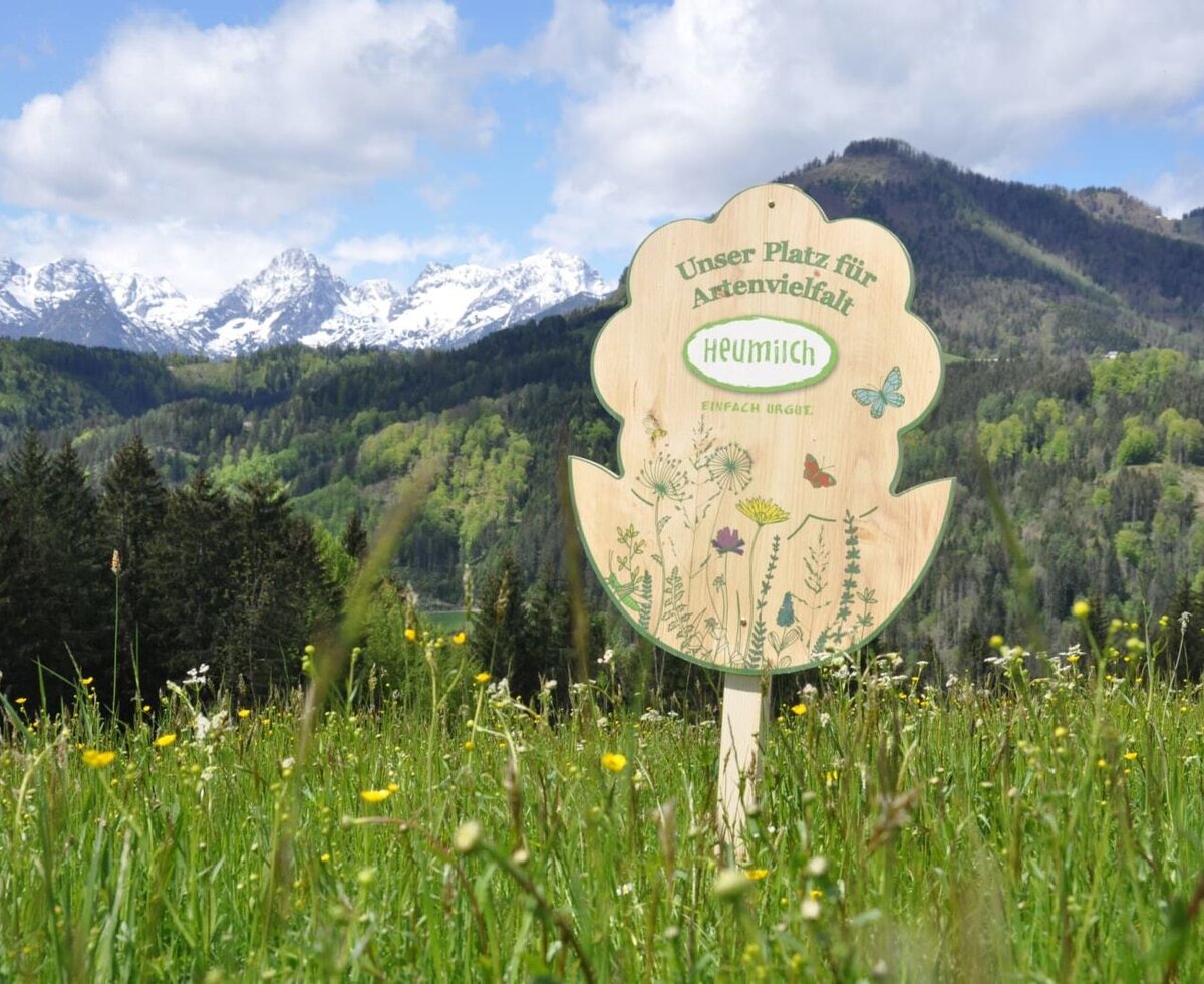 Ein Holzschild in einer Blumenwiese des Bauernhofs mit Blick auf schneebedeckte Berge, das auf die Heumilchproduktion hinweist.