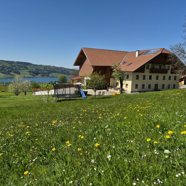 Der Bauernhof mit großer Wiese, Trampolin und Rutsche bietet einen Blick auf den See und die Berge.