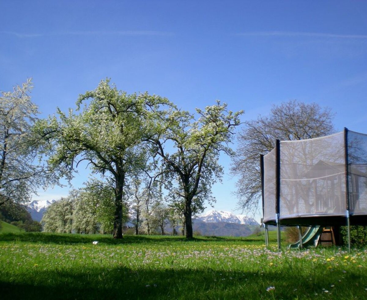 Trampolin im Frühling
