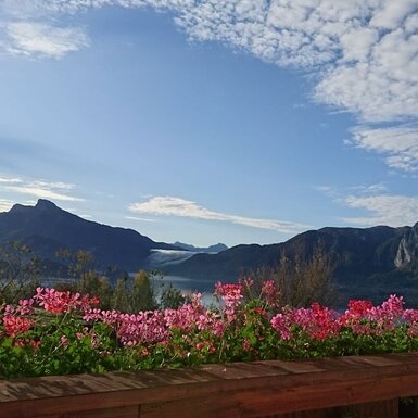 Blick vom Bauernhof auf den See und die Berge, mit Blumenkästen voller Geranien im Vordergrund.