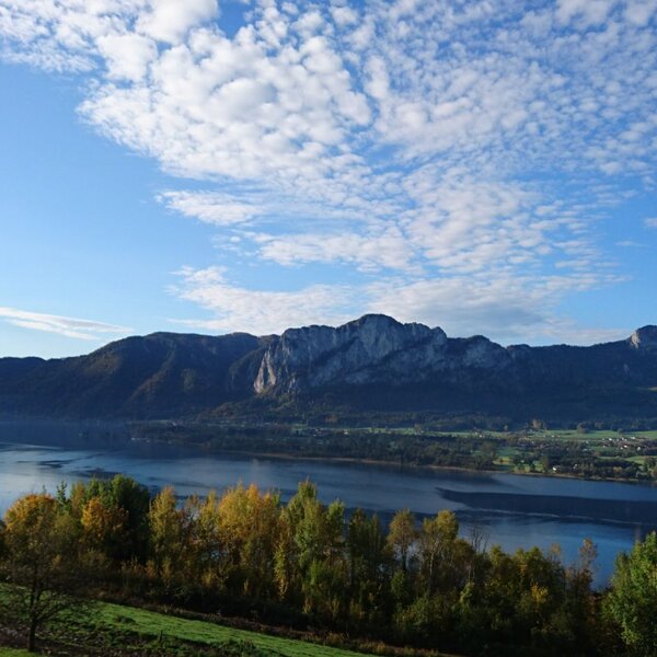 Blick auf den See und die umliegenden Berge mit herbstlicher Vegetation im Vordergrund vom Bauernhof aus.