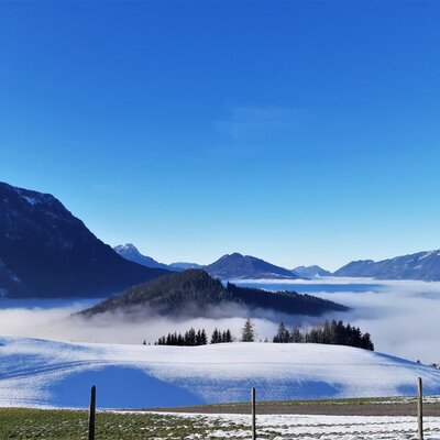 Winterliche Aussicht vom Bauernhof mit schneebedeckten Feldern, einem nebelverhangenen Tal und Bergen unter blauem Himmel.