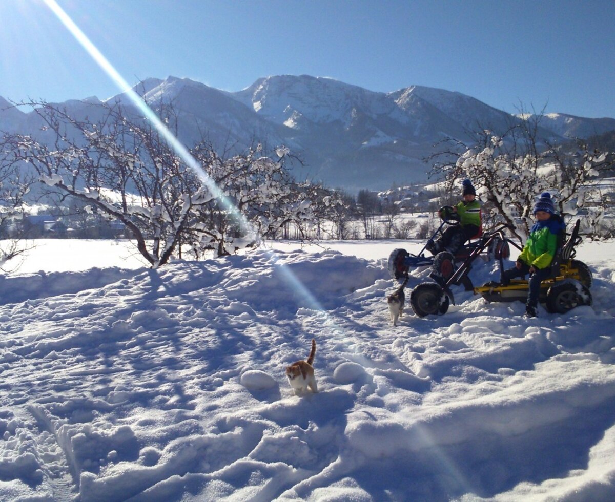 Go-kart-Ausfahrt im Winter