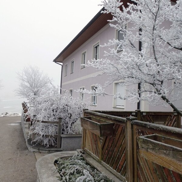 Der Bauernhof im Winter, mit reifbedeckten Bäumen, Sträuchern und einem Holzzaun.