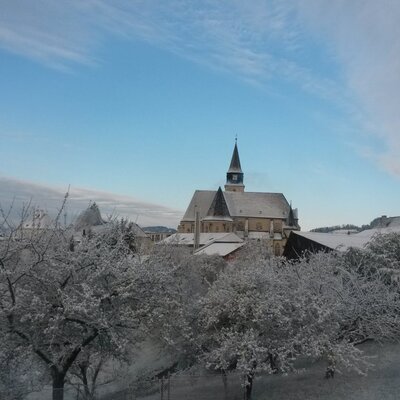 Blick auf unsere Wallfahrtskirche Maria Neustift.