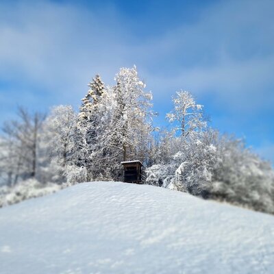 Verschneite Bäume und ein Hochsitz auf einem schneebedeckten Hügel in der Winterlandschaft des Bauernhofs.