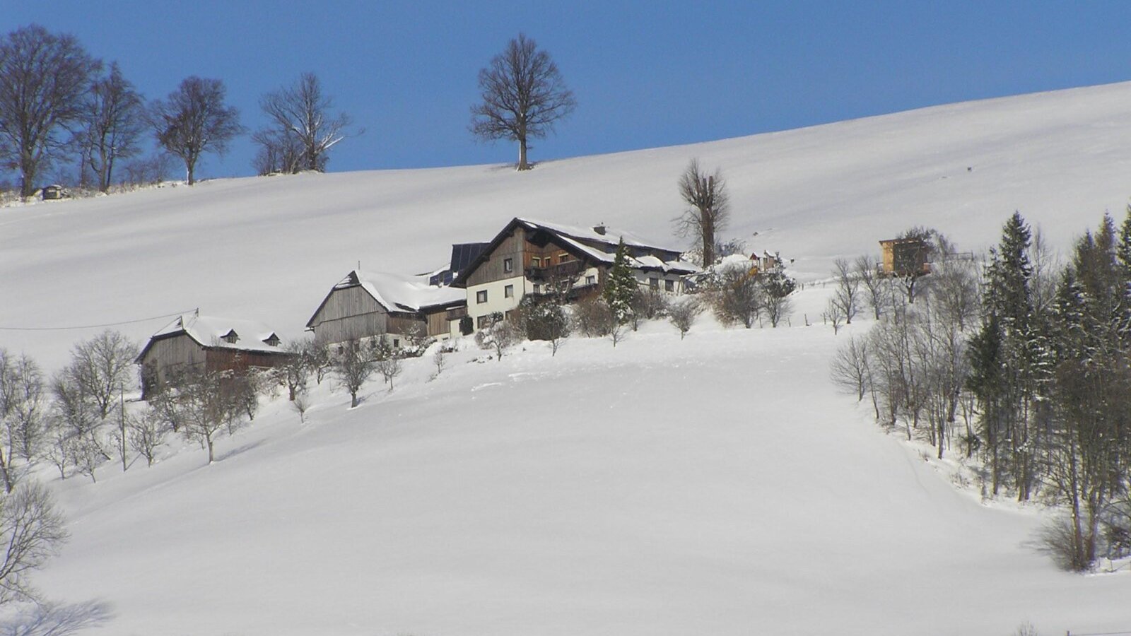 Ferienhof Schneiderweg