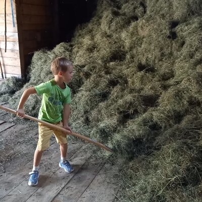 Mithilfe bei der Heuarbeit