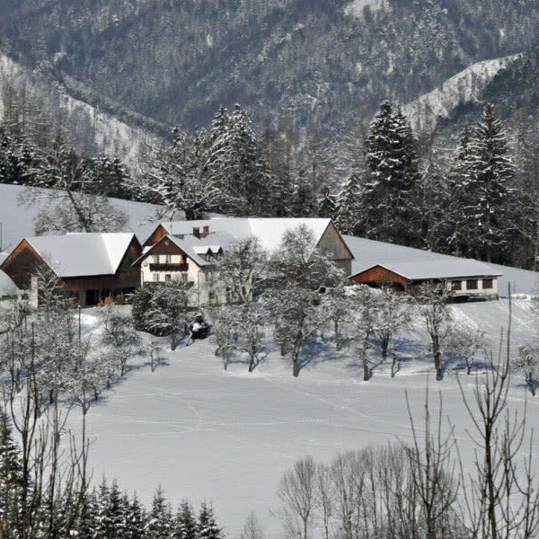 Der Bauernhof in einer schneebedeckten Berglandschaft.