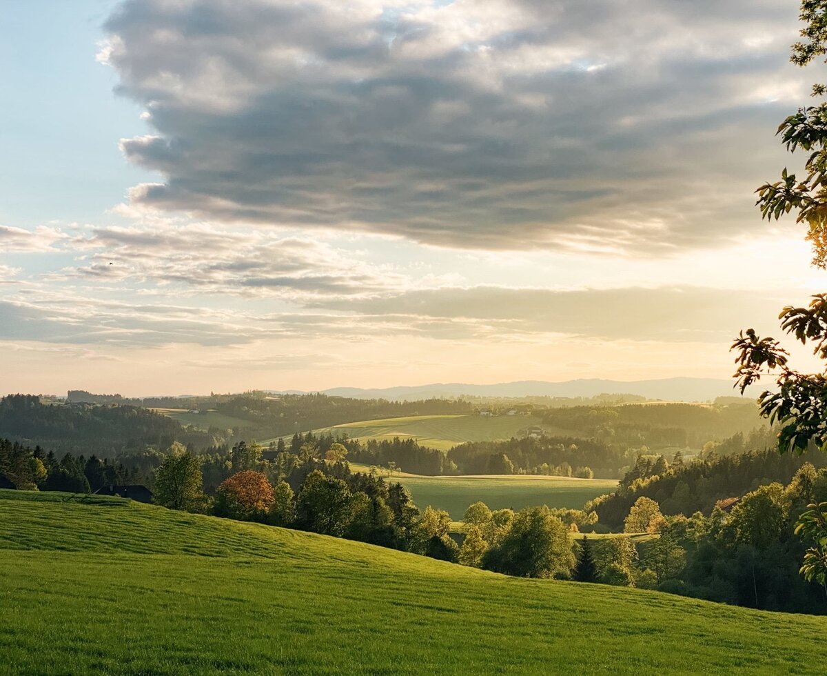 Die weitläufige ländliche Umgebung mit grünen Hügeln und Wäldern rund um den Bauernhof.