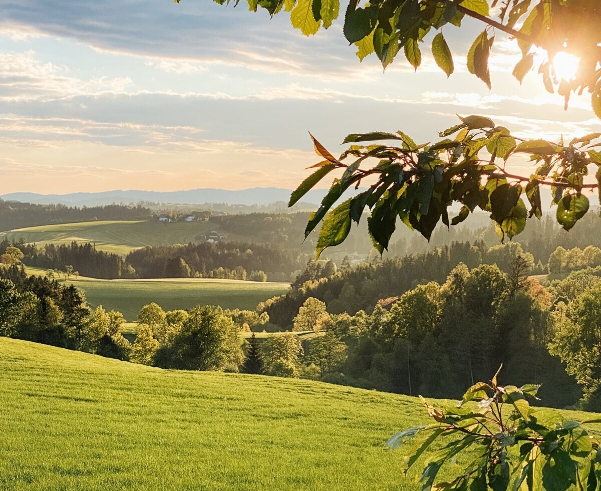 Eine weite grüne Hügellandschaft mit Wäldern und Feldern in der Umgebung des Bauernhofs, beleuchtet von der Sonne.