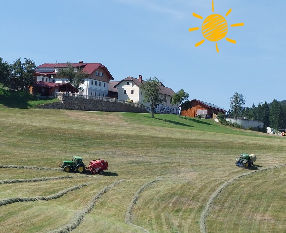 Großhaslinger, Königswiesen