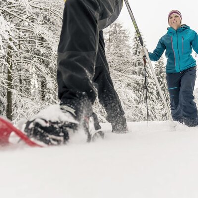 Schneeschuhwandern im verschneiten Wald des Böhmerwaldes, eine der Winteraktivitäten, die Gäste in der Nähe des Bauernhofs genießen können.