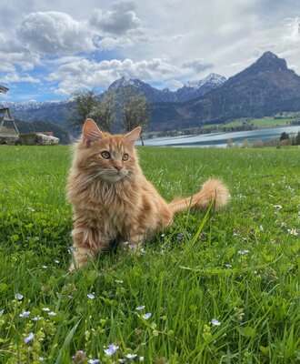 Unser Max