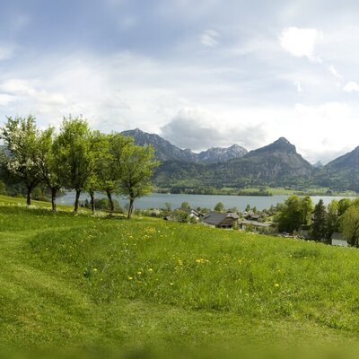 Ausblick auf den Wolfgangsee