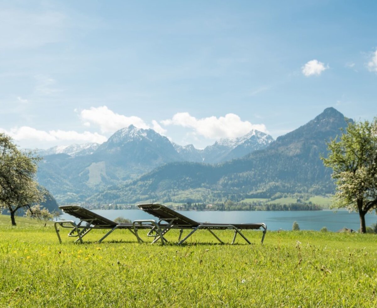 Liegewiese mit Blick auf den Wolfgangsee