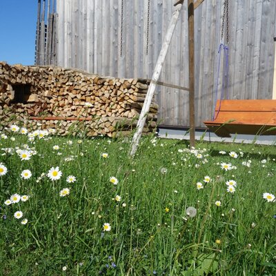Der Außenbereich des Bauernhofs mit einer Holzschaukel, einem Holzstapel und einer Blumenwiese im Vordergrund.