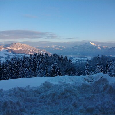 Schafberg Panorama im Winter