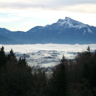 leichter Morgennebel im Winter