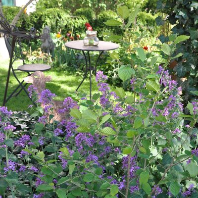 Urlaub Bio Bauernhof  Hof zu Steinern Reiten