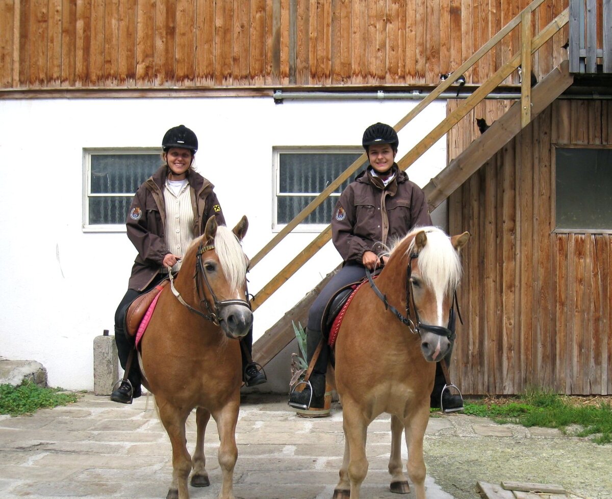 Haflinger im Hof