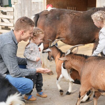 Ein familienfreundliches Erlebnis auf dem Bauernhof, bei dem Gäste die zutraulichen Ziegen und Ponys hautnah erleben können.