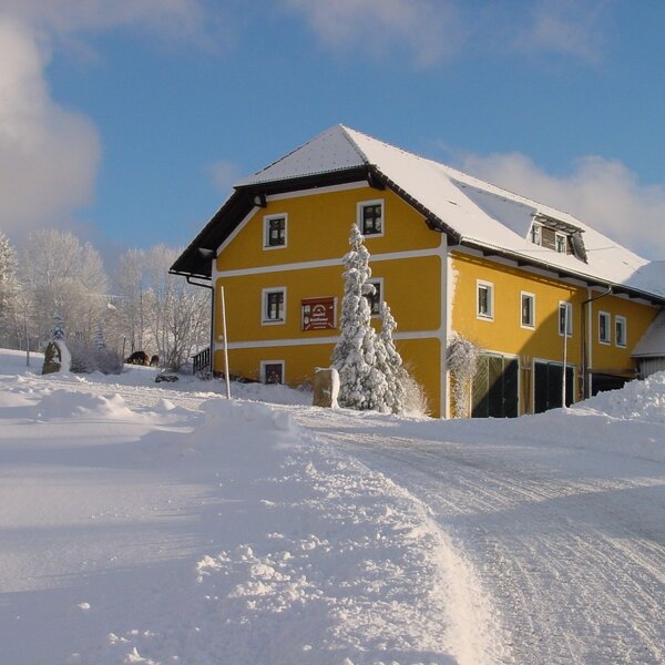 Lamahof im Winter