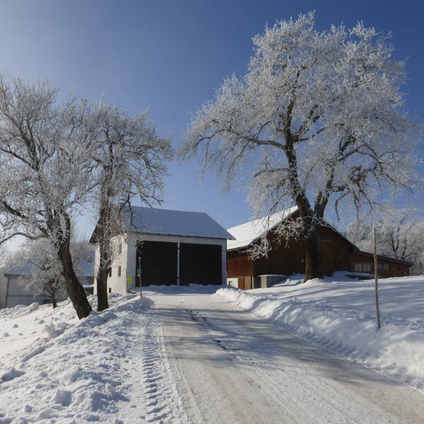 Haus im Winter